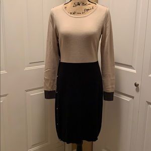 The Limited Sweater Dress